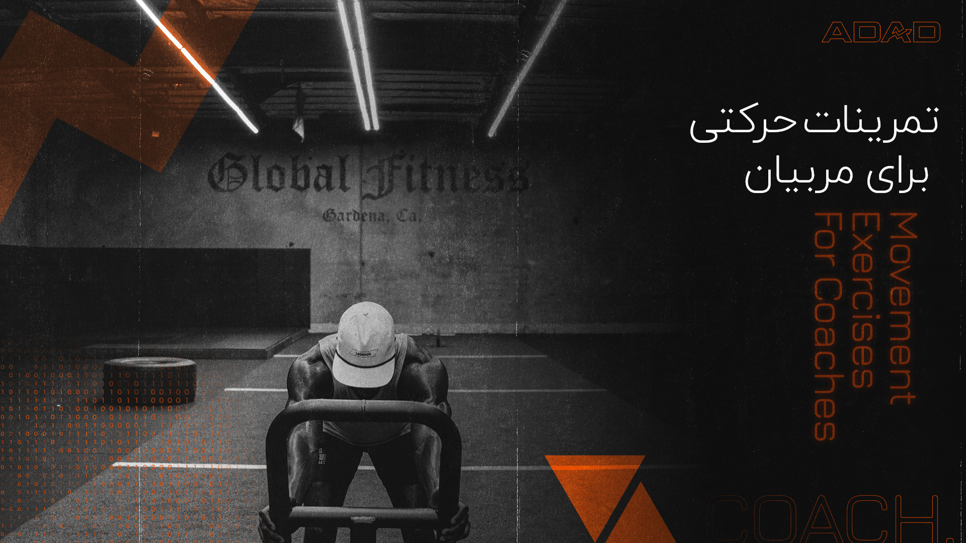 آموزش تمرینات حرکتی برای مربیان