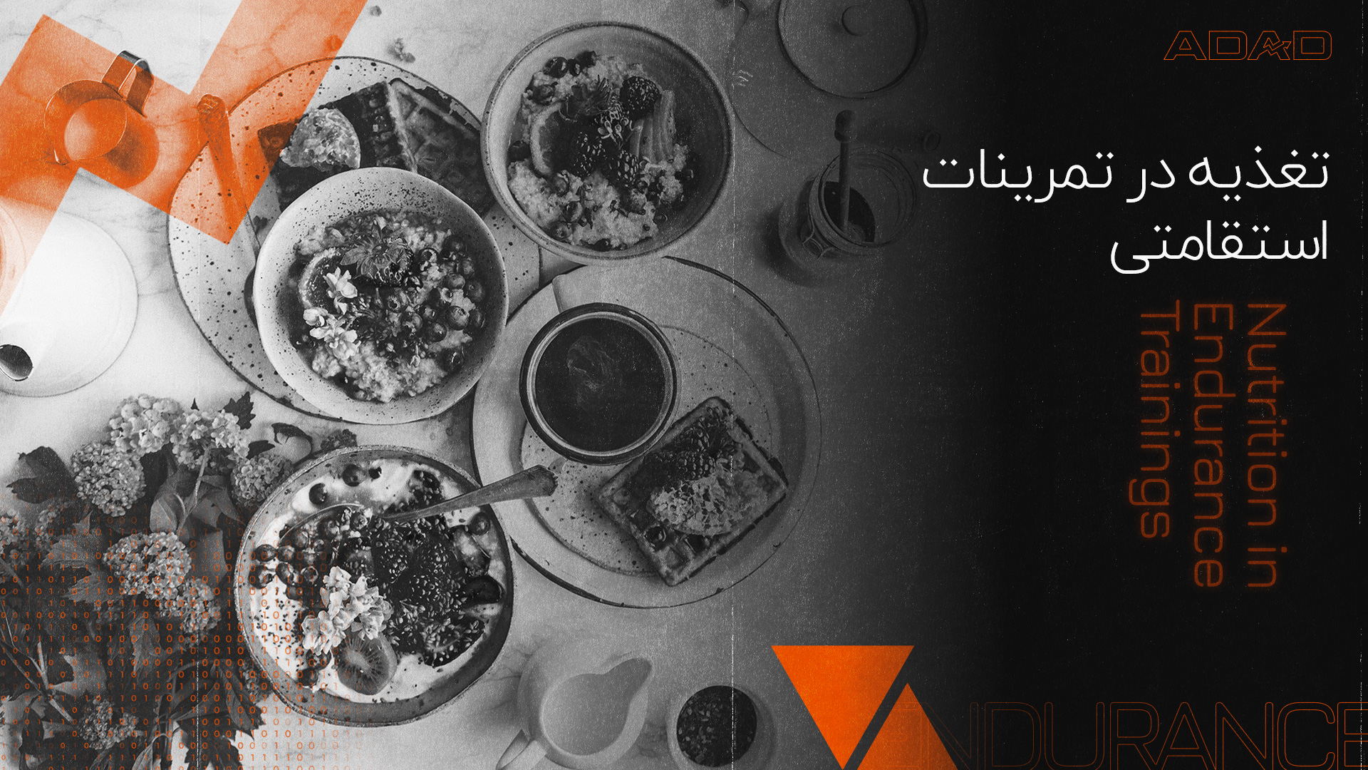 تغذیه و ریکاوری در تمرینات استقامتی