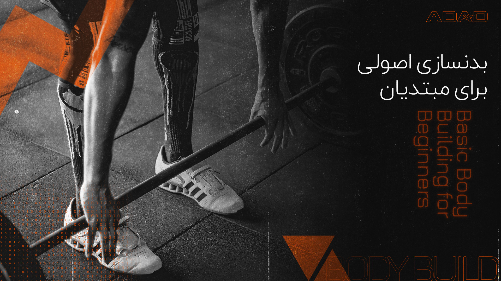 بدنسازی اصولی برای مبتدیان